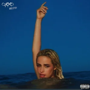 Speculation and Lyric Comparisons