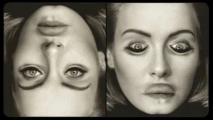 The Science Behind the Illusion